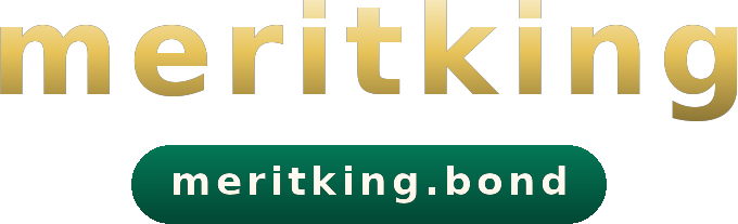 meritking logo